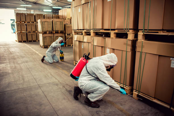 Best Mosquito Control Services  in Grapeland, TX