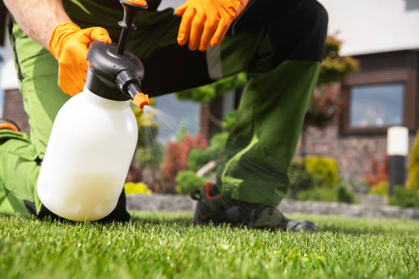 Best Commercial Pest Control Services  in Grapeland, TX