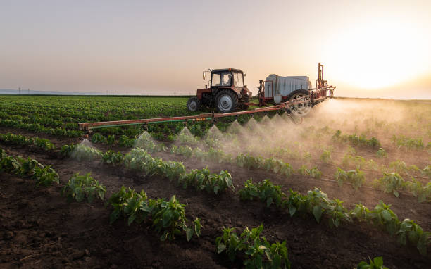 Best Best Pest Control Companies  in Grapeland, TX