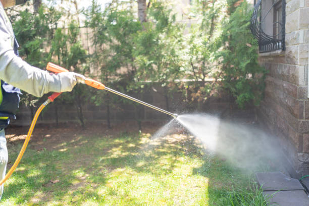Reliable Grapeland, TX Pest Control Solutions