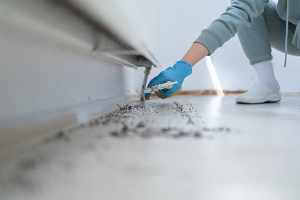Best Commercial Pest Control Services  in Grapeland, TX